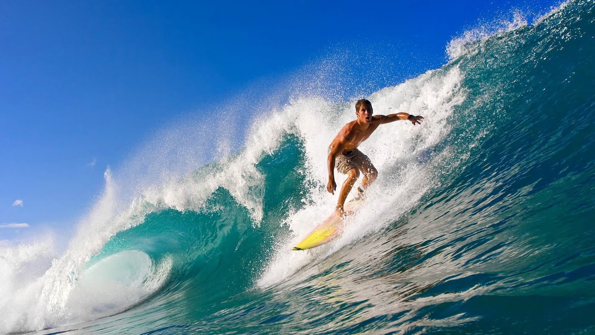 中国足球亚冠:上海申花逆转晋级,燃爆现场热潮,亚冠小组赛上海申花