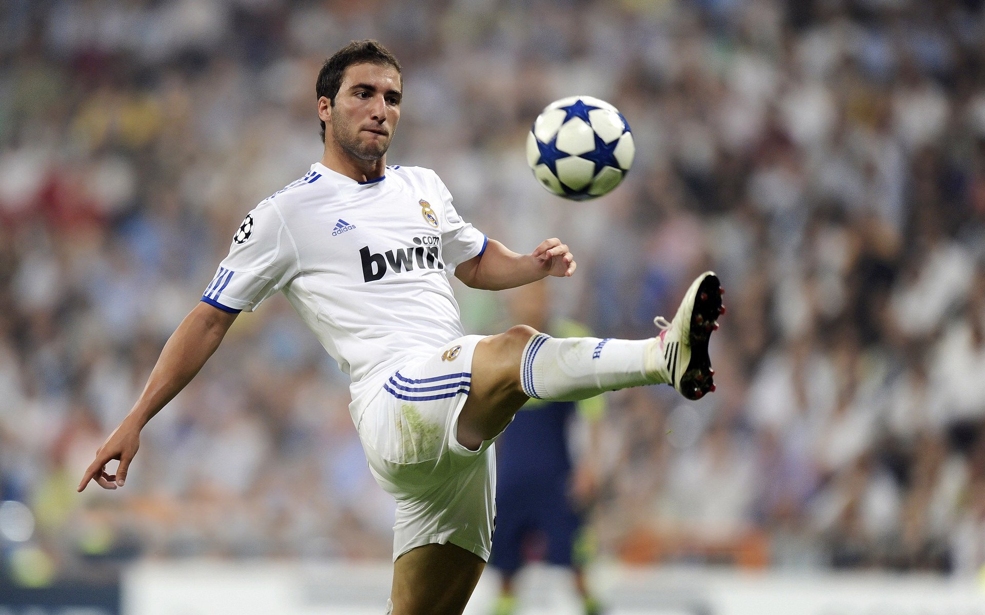 世界杯评选“公平竞赛奖” 英格兰凭最少黄牌捧杯